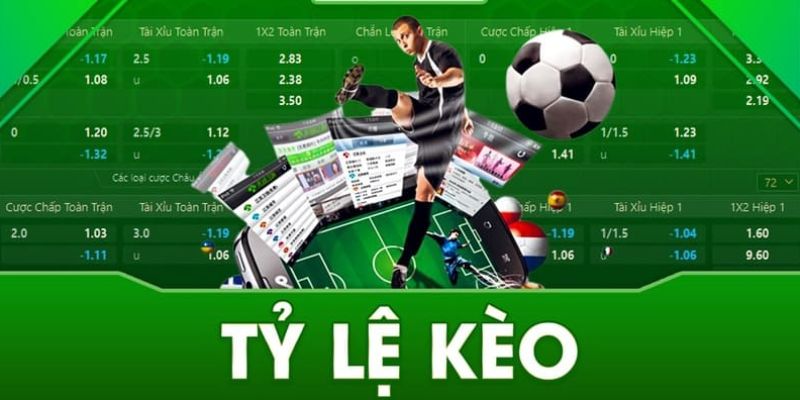 Mỗi người cần biết đánh giá tỷ lệ kèo khi đặt cược